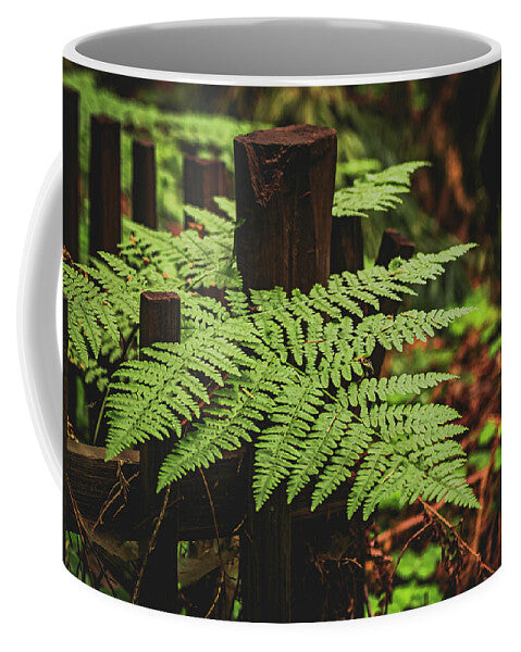 Fern Leaves on Wooden Fence - Mug