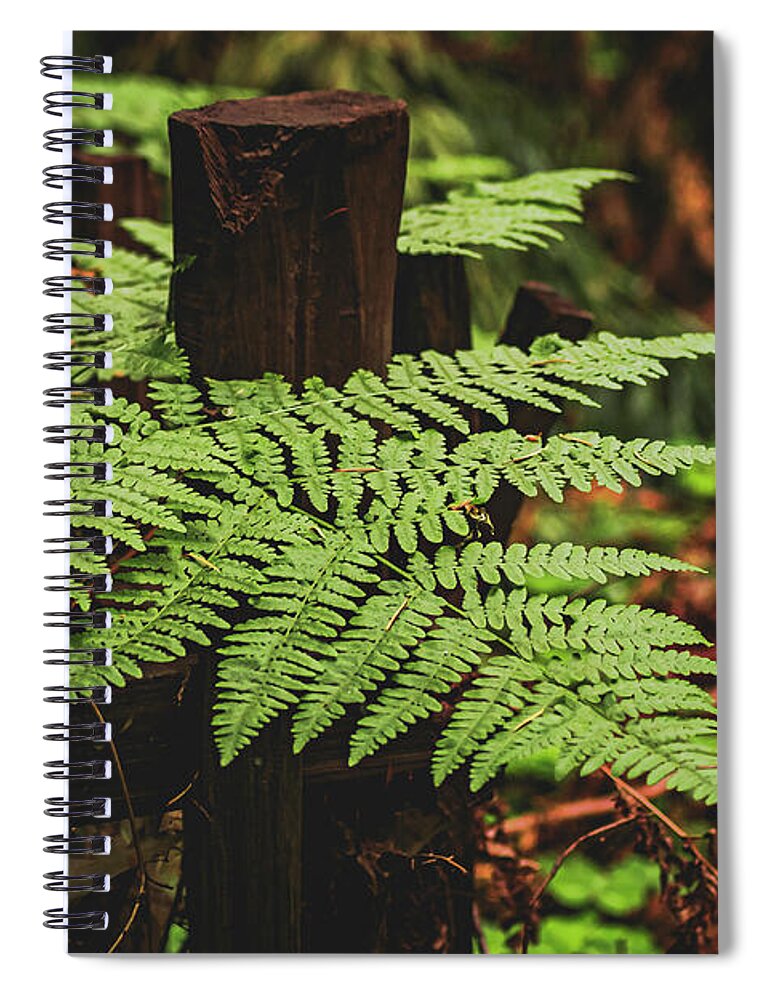 Fern Leaves on Wooden Fence - Spiral Notebook