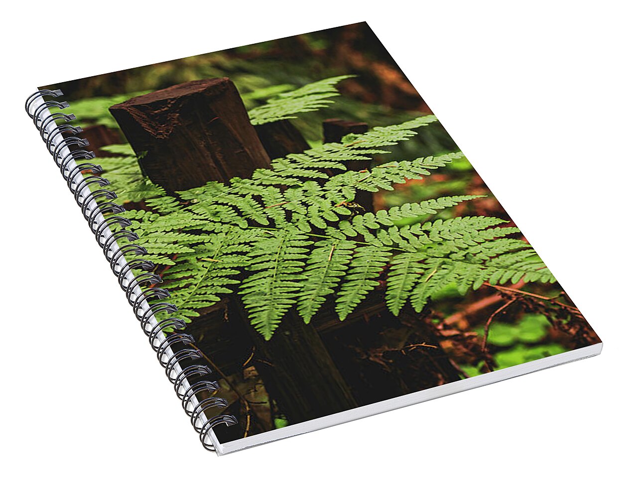 Fern Leaves on Wooden Fence - Spiral Notebook