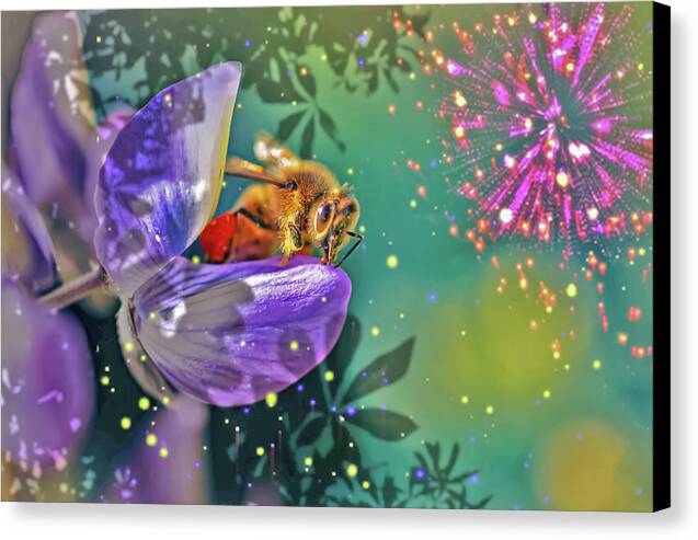 Fireworks and Bee on Flower - Canvas Print