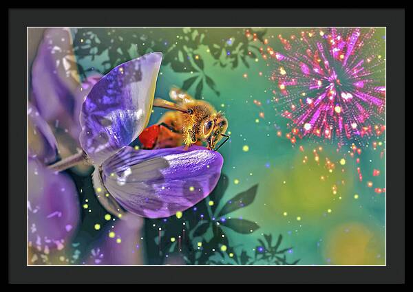 Fireworks and Bee on Flower - Framed Print