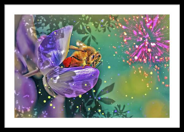 Fireworks and Bee on Flower - Framed Print
