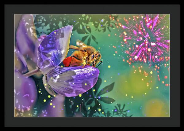 Fireworks and Bee on Flower - Framed Print