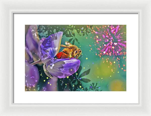 Fireworks and Bee on Flower - Framed Print