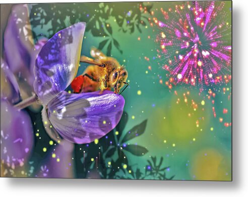 Fireworks and Bee on Flower - Metal Print