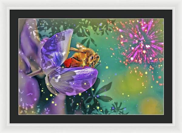 Fireworks and Bee on Flower - Framed Print