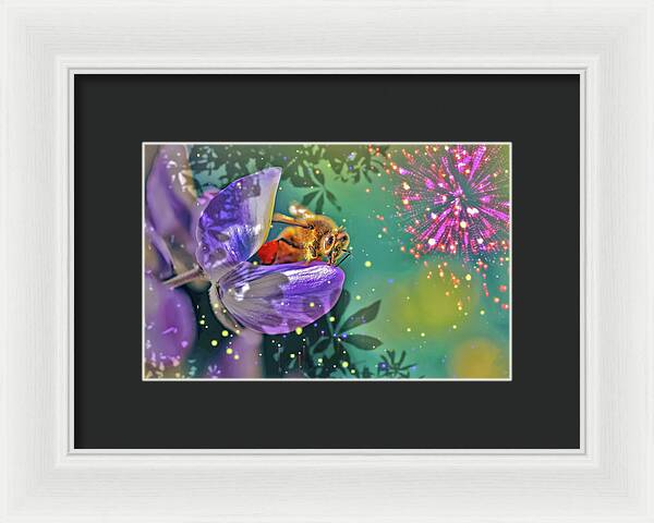 Fireworks and Bee on Flower - Framed Print