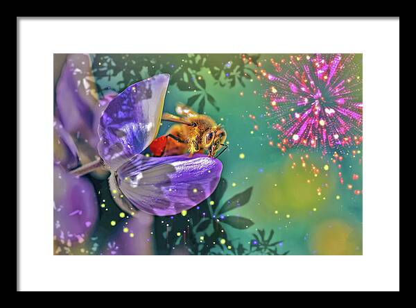 Fireworks and Bee on Flower - Framed Print