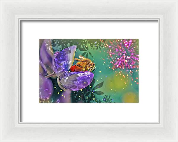 Fireworks and Bee on Flower - Framed Print