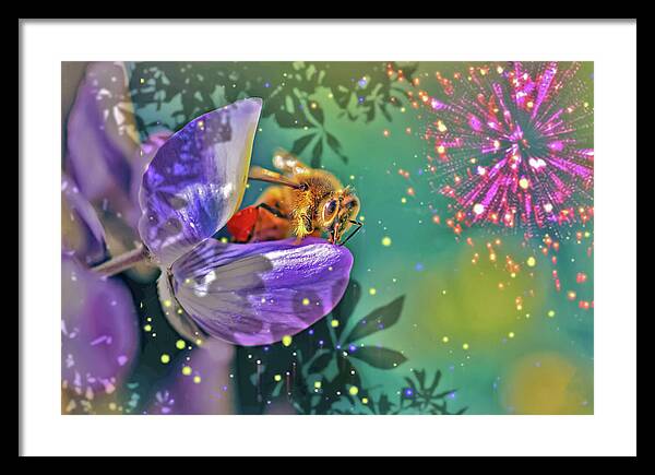 Fireworks and Bee on Flower - Framed Print