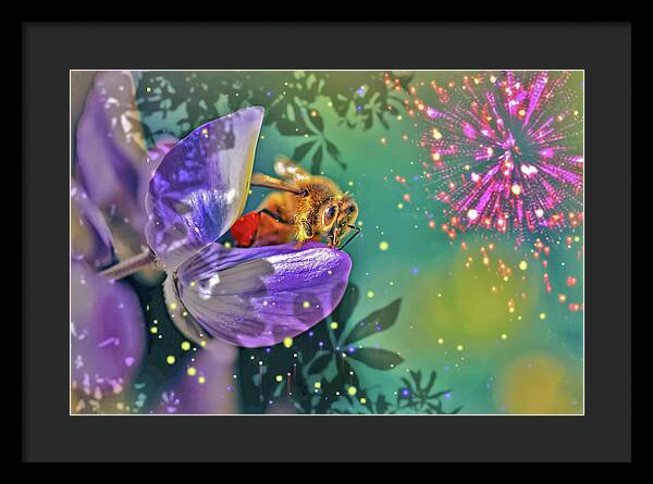 Fireworks and Bee on Flower - Framed Print