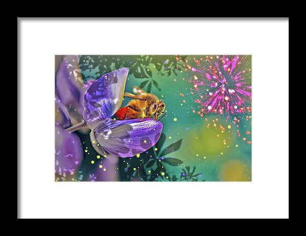 Fireworks and Bee on Flower - Framed Print