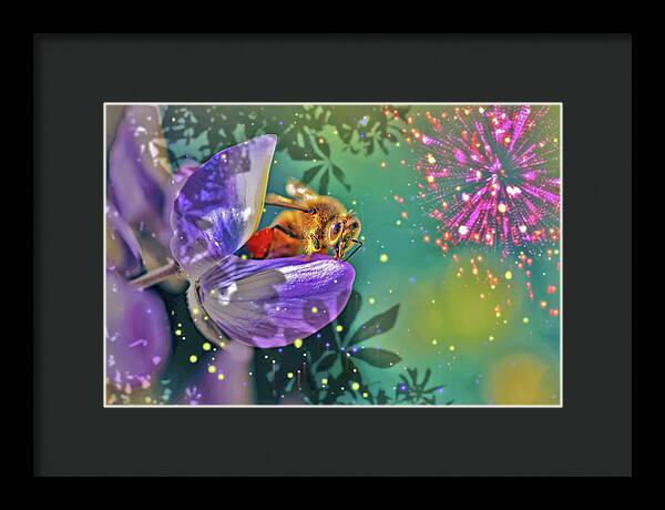 Fireworks and Bee on Flower - Framed Print
