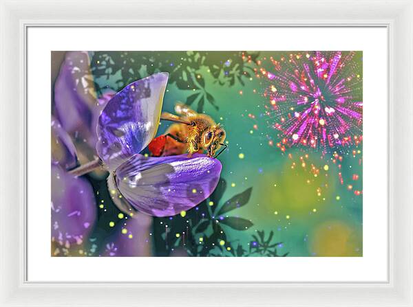 Fireworks and Bee on Flower - Framed Print