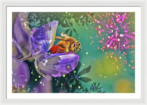 Fireworks and Bee on Flower - Framed Print