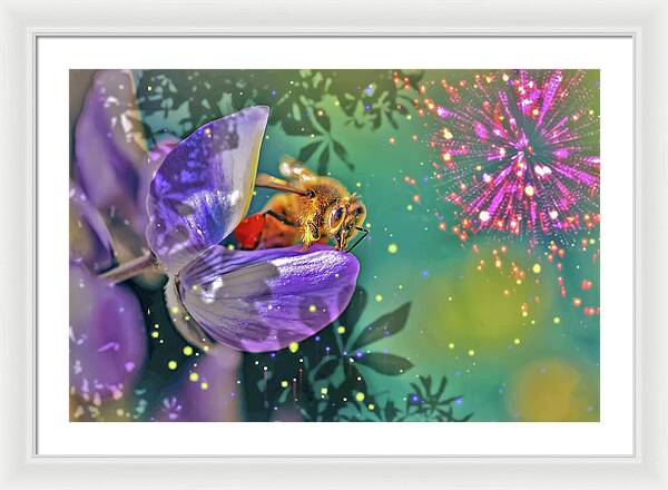 Fireworks and Bee on Flower - Framed Print
