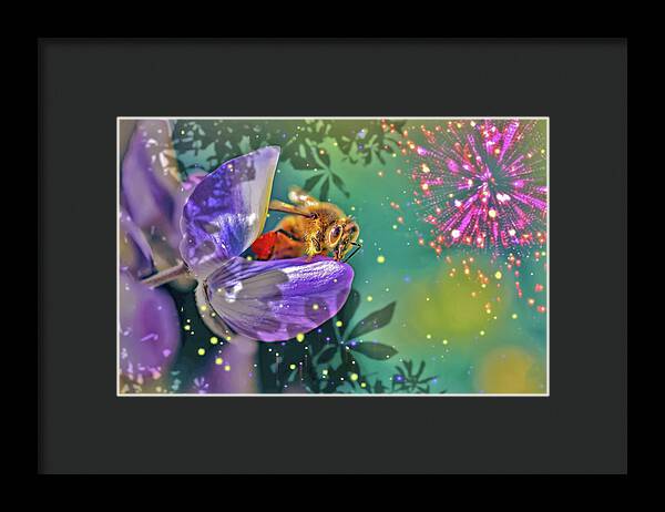 Fireworks and Bee on Flower - Framed Print