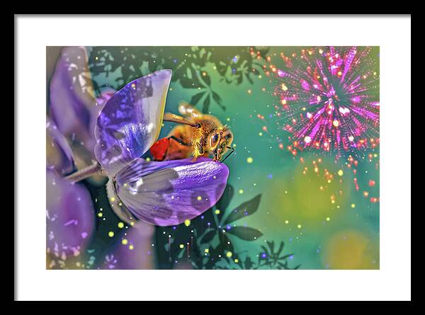 Fireworks and Bee on Flower - Framed Print