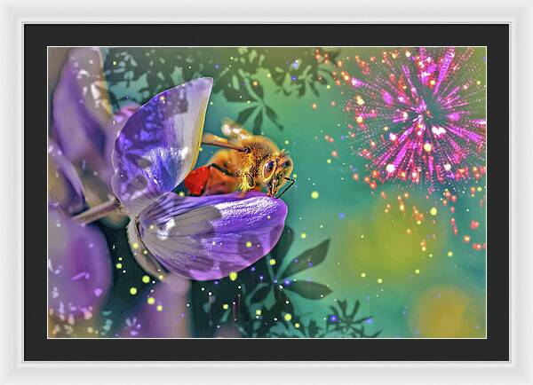 Fireworks and Bee on Flower - Framed Print