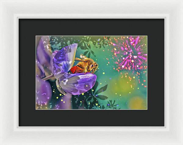 Fireworks and Bee on Flower - Framed Print