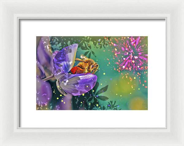 Fireworks and Bee on Flower - Framed Print