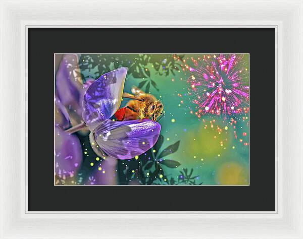 Fireworks and Bee on Flower - Framed Print