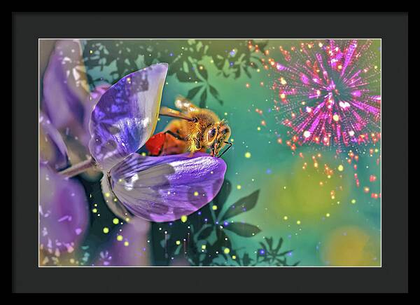 Fireworks and Bee on Flower - Framed Print