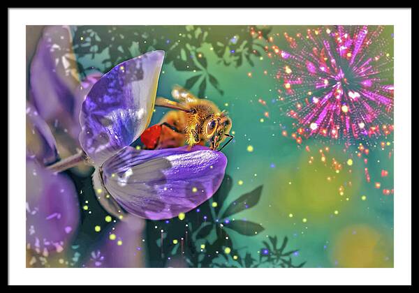 Fireworks and Bee on Flower - Framed Print