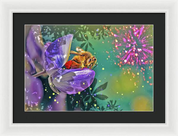 Fireworks and Bee on Flower - Framed Print