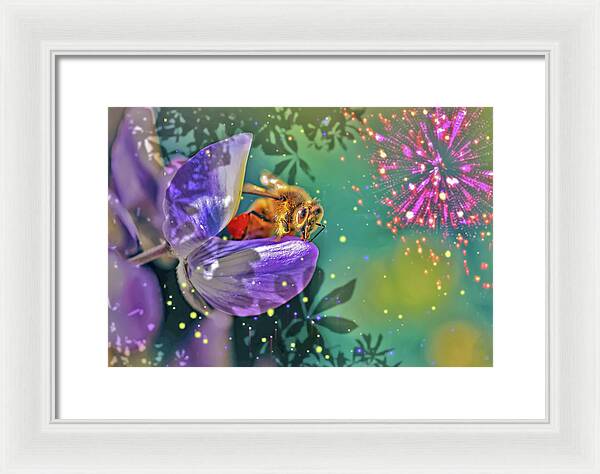 Fireworks and Bee on Flower - Framed Print