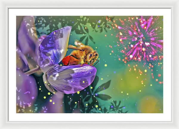 Fireworks and Bee on Flower - Framed Print