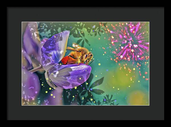 Fireworks and Bee on Flower - Framed Print