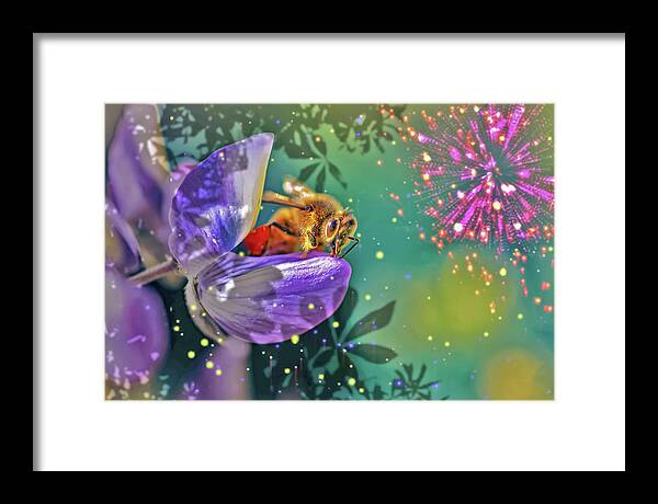 Fireworks and Bee on Flower - Framed Print