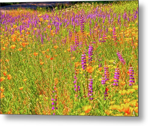 Flower Galore Purple and Yellow - Metal Print