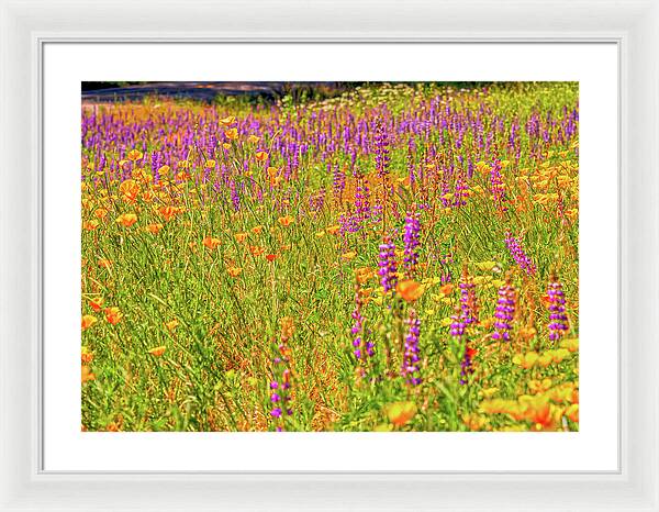 Flower Galore Purple and Yellow - Framed Print