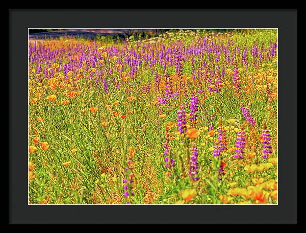 Flower Galore Purple and Yellow - Framed Print