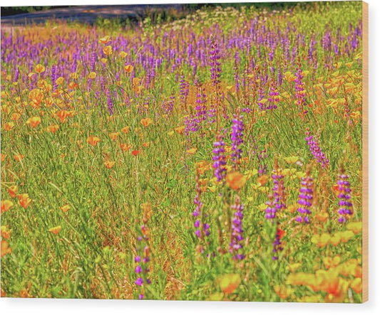 Flower Galore Purple and Yellow - Wood Print