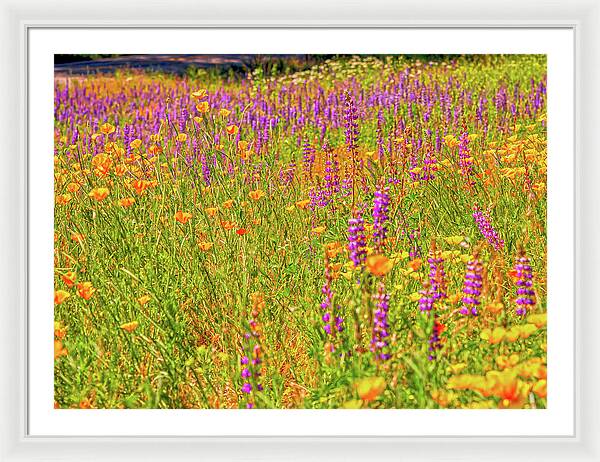 Flower Galore Purple and Yellow - Framed Print