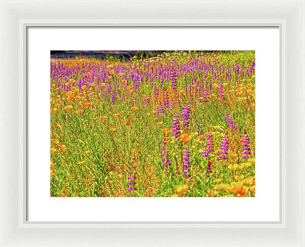 Flower Galore Purple and Yellow - Framed Print