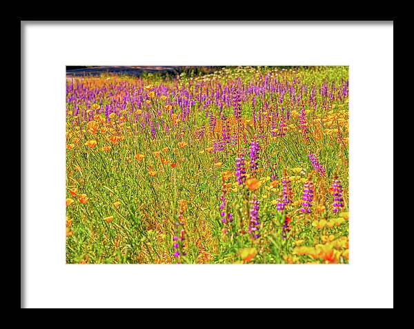 Flower Galore Purple and Yellow - Framed Print