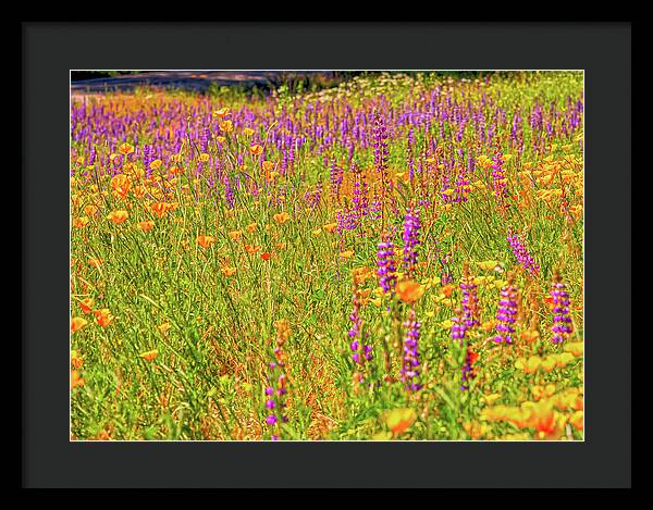 Flower Galore Purple and Yellow - Framed Print