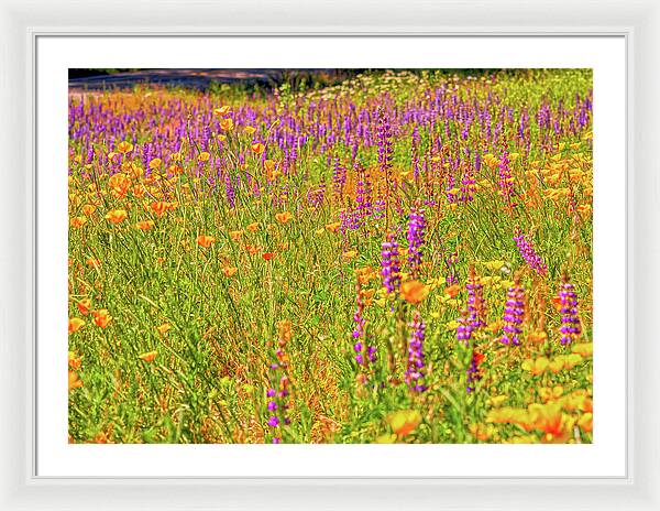 Flower Galore Purple and Yellow - Framed Print