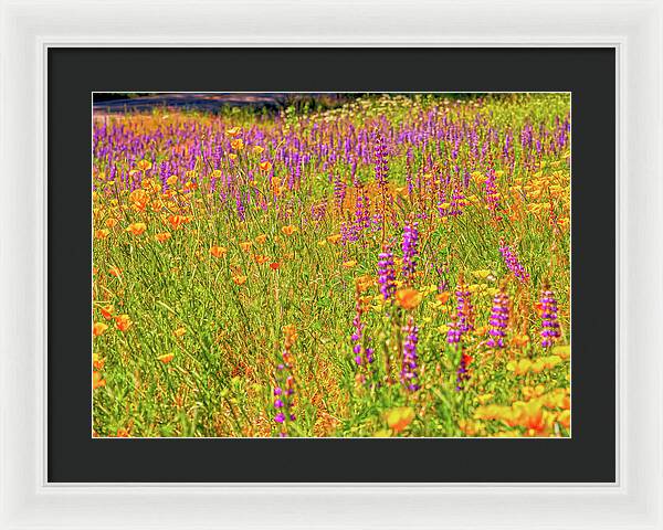 Flower Galore Purple and Yellow - Framed Print