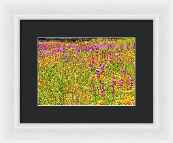 Flower Galore Purple and Yellow - Framed Print