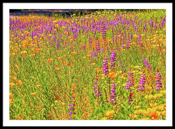 Flower Galore Purple and Yellow - Framed Print