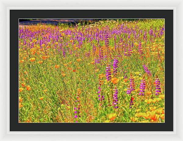 Flower Galore Purple and Yellow - Framed Print