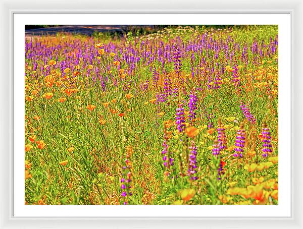 Flower Galore Purple and Yellow - Framed Print