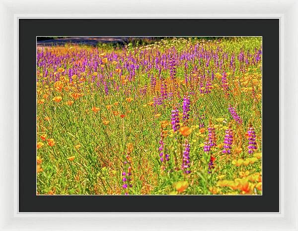 Flower Galore Purple and Yellow - Framed Print