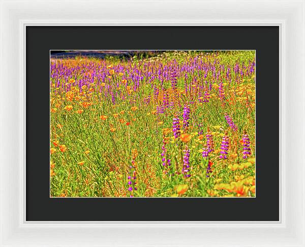 Flower Galore Purple and Yellow - Framed Print