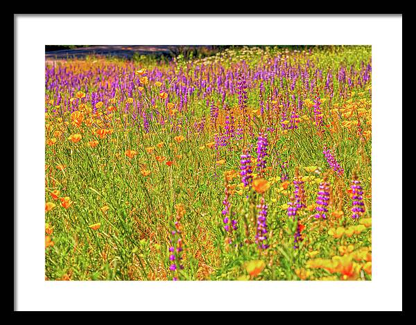 Flower Galore Purple and Yellow - Framed Print